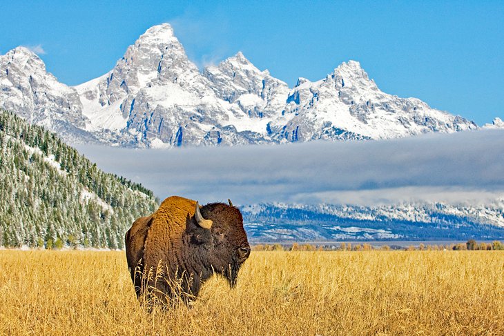 Wind River Range mountains